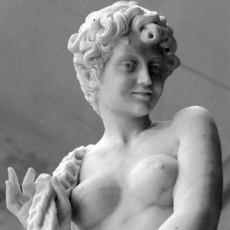 Michelangelo-Marmo-Statuario-1006x1024